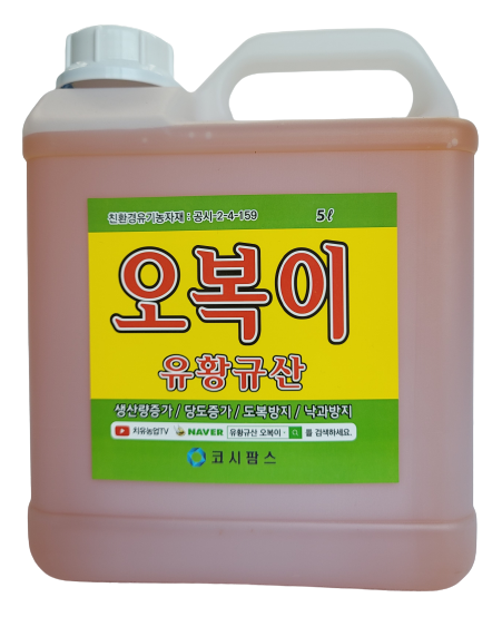 오복이 5L