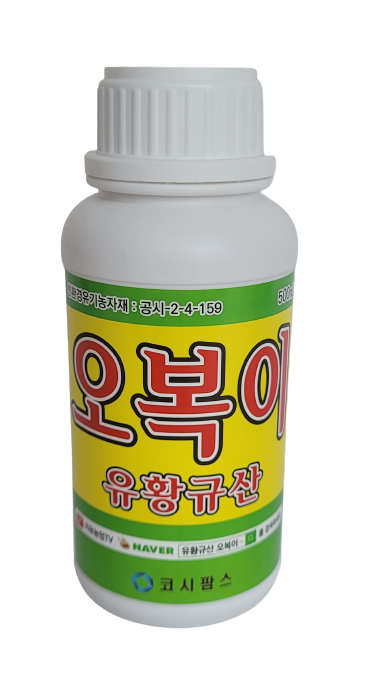 오복이 500ml