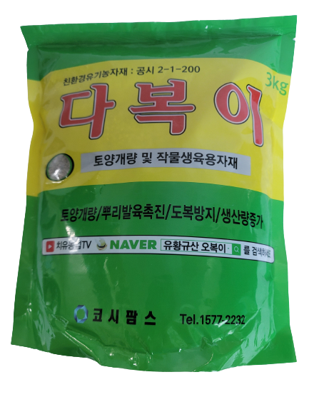 다복이 3KG